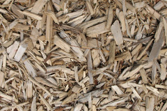 biomass boilers Arrisa